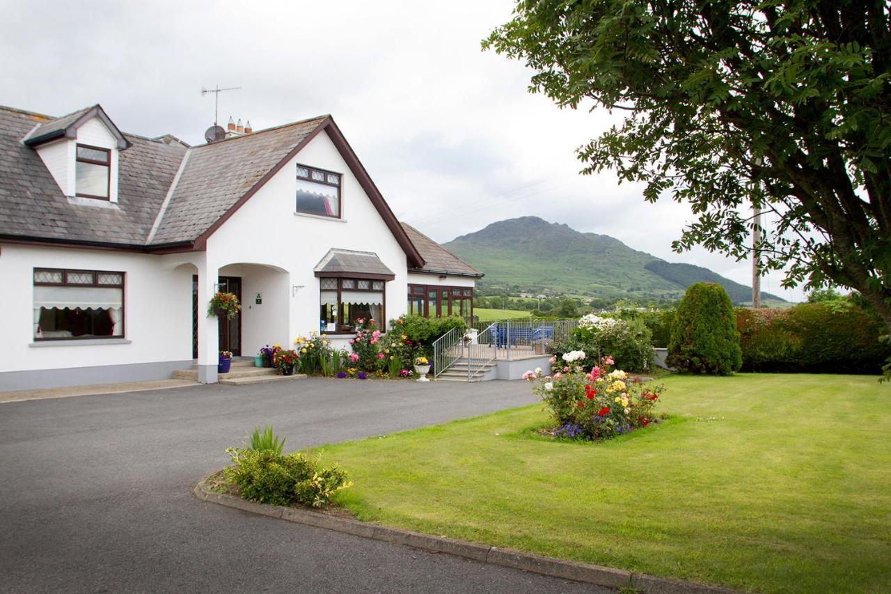 Mourneview B & B Carlingford Kültér fotó