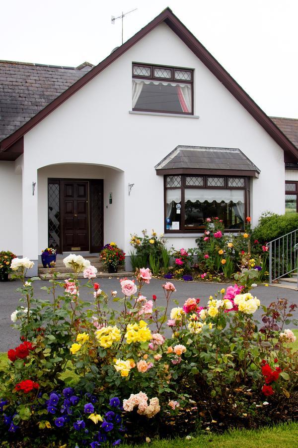 Mourneview B & B Carlingford Kültér fotó